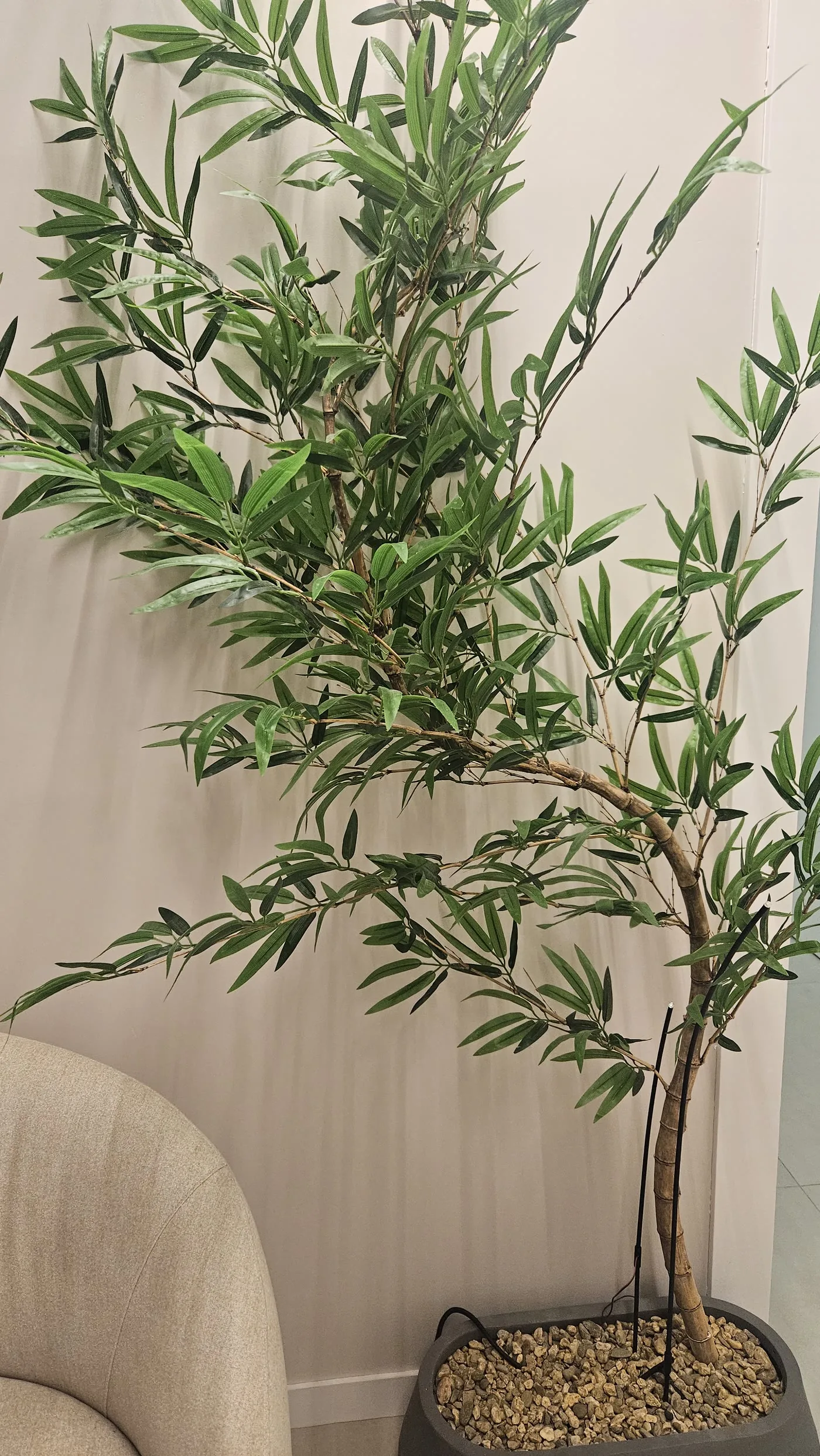 Detalhe verde da recepção do consultório no Bucarein